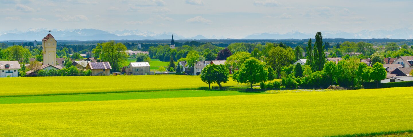 Landschaft bei Unterhaching mit gelben Feldern und Alpenpanorama – Symbol für Regionalität und Herkunft von Develey