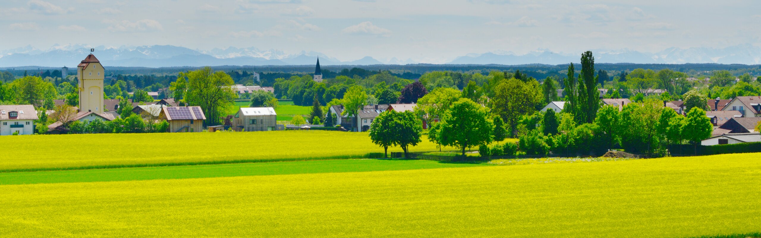 Landschaft bei Unterhaching mit gelben Feldern und Alpenpanorama – Symbol für Regionalität und Herkunft von Develey