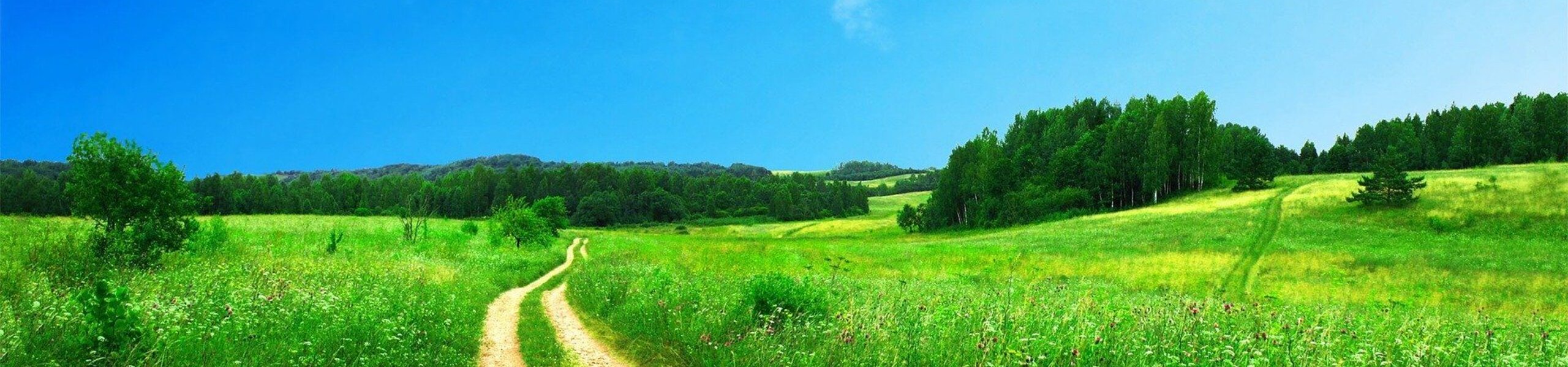Unser Weg seit 2008 – Develeys nachhaltiger Wandel im Einklang mit Natur und Umwelt